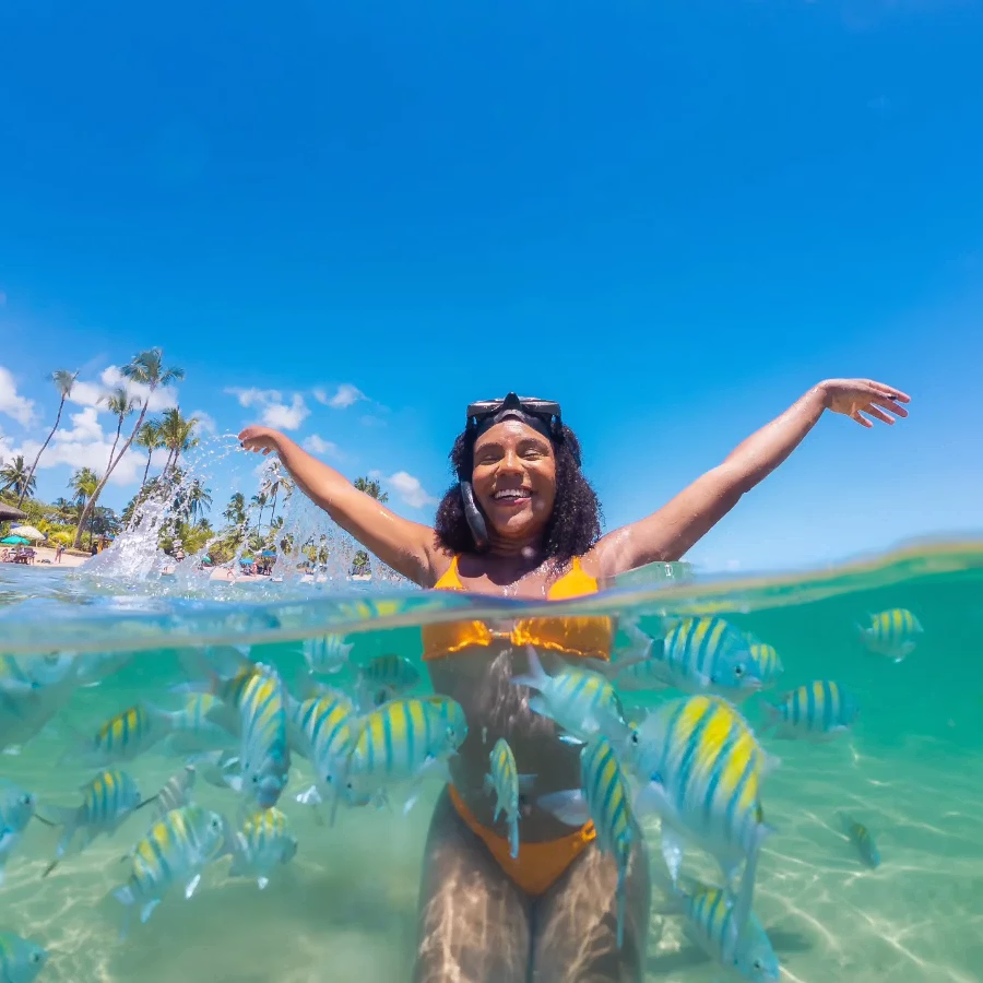 Mergulho entre peixes nas águas cristalinas da Península de Maraú