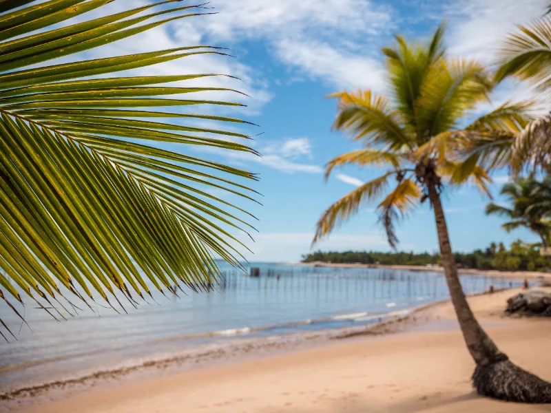 Praia de Barra Grande, Península de Maraú